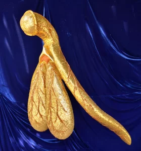 Golden Clitoris Brisbane Golden Clitoris Brisbane and Aleena Aspley who is a Certified Sexological Bodyworker, also known as a Somatic Sexologist & NEO Tantra Professional. https://aleenaaspley.com.au/the-clitoral-orgasm-an-intense-culmination-of-profound-female-pleasure/ The female clitoris —pronounced as "clit-er-iss" rather than "clit-OR-iss," a petite and delicate structure situated at the upper portion of your vulva. When we look at the clitoris we see the clitoral hood—an enclosing fold of skin that withdraws during arousal—and the glans clitoris—a minuscule and sensitive bulb that houses an astonishing 15,000 plus nerve endings, protected by the clitoral hood. The Infamous Clitoris Looking at the vestibule, between those inner labia from the top down (right below your mons), you'll first see the top of the inner labia, which create a little skin fold called the clitoral hood. That hood connects to the glans, which is the tip -- and only the tip -- of the clitoris (klit-or-iss). If you pull up the hood with your fingers, you can get a closer look if you like. The clitoris -- which in full, internal and external, is nearly about the same size as the penis -- is usually the most sensitive area of, and involved in the most sensitive areas of, the vulva and vagina. It interacts with over 15,000 nerve endings throughout the whole pelvic area. It is created of the same sort of erectile tissue that the head of a penis has. Before we all were born, until about the sixth week of our lives as an embryo, our sexual organs were slightly developed, but completely the same no matter our sex or gender. If you feel the clitoral glans with your fingers, you'll probably feel a tingle or a tickle. Rubbing it a bit or pressing down on it, you can feel a hardish portion that is the shaft of the clitoris. The whole of the clitoris is the primary source of most genital sensation for these kinds of genitals. The clitoris is, in fact, the only organ on the entire body that is solely for sexual arousal, and is attached to ligaments, muscles and veins that become filled with blood during arousal (when you get sexually excited) and contract during orgasm. The clitoris is what most like to have stimulated in some way during oral or digital (with hands and fingers) sex, during masturbation, and during intercourse, and not just the tip or shaft. The clitoris is internal as well as external -- and the whole thing is a lot bigger than it looks from the outside -- with legs, called crura, that are within the outer labia, as well as the clitoral (or vestibular) bulbs, which surround part of the lower portion of the vaginal canal. .   . Tantric Massage Oils Lubricants Written by Certifed Sexological Bodyworker / Somatic Sexologist Aleena Aspley. Aleena's bodywork studio is located in North Brisbane and is by appointment only. Bodywork Directory -- www.AleenaAspley.com Women -- www.YoniWhisperer.com.au Men -- www.LingamWhisperer.com.au Couples -- www.TantricWhisperer.com